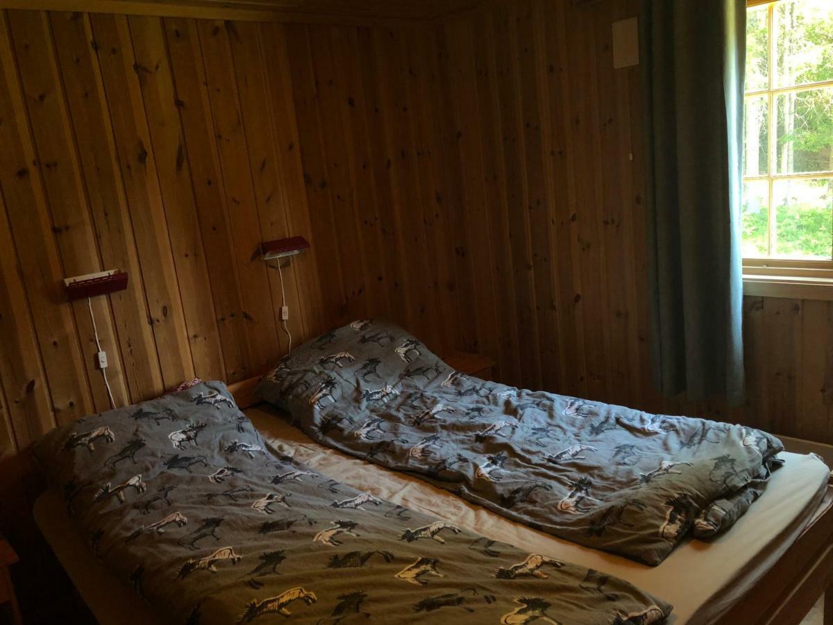 Sjoaasen Hytte Tuddal Dış mekan fotoğraf